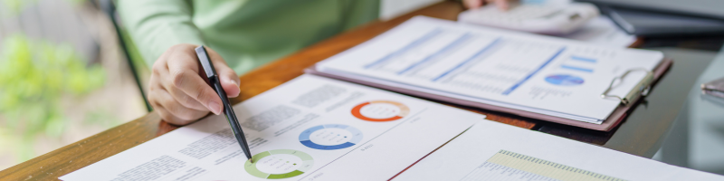 Audit pro