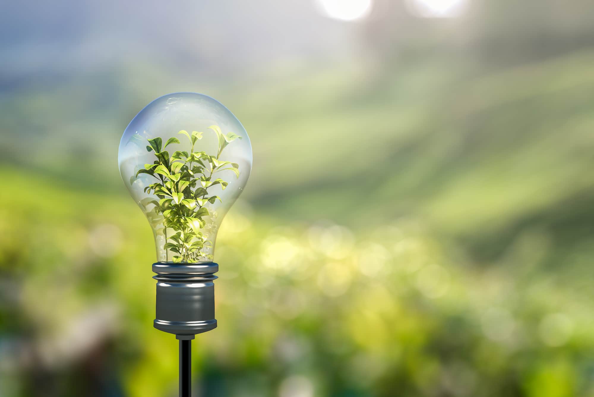 Ampoule énergie verte - la bellenergie