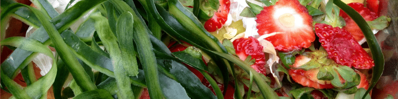 modes de traitement à respecter