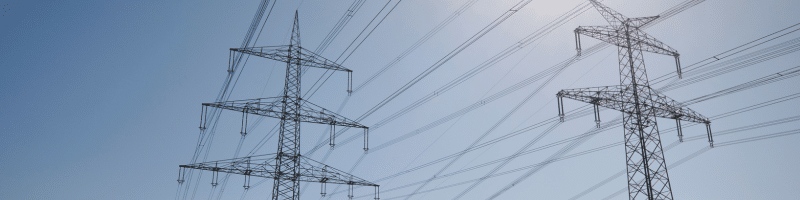 Un marché désormais entièrement tourné vers les prix de gros