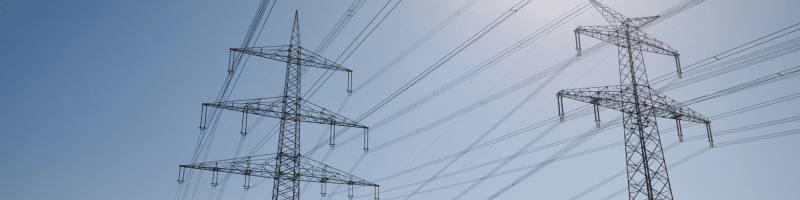 Un marché désormais entièrement tourné vers les prix de gros