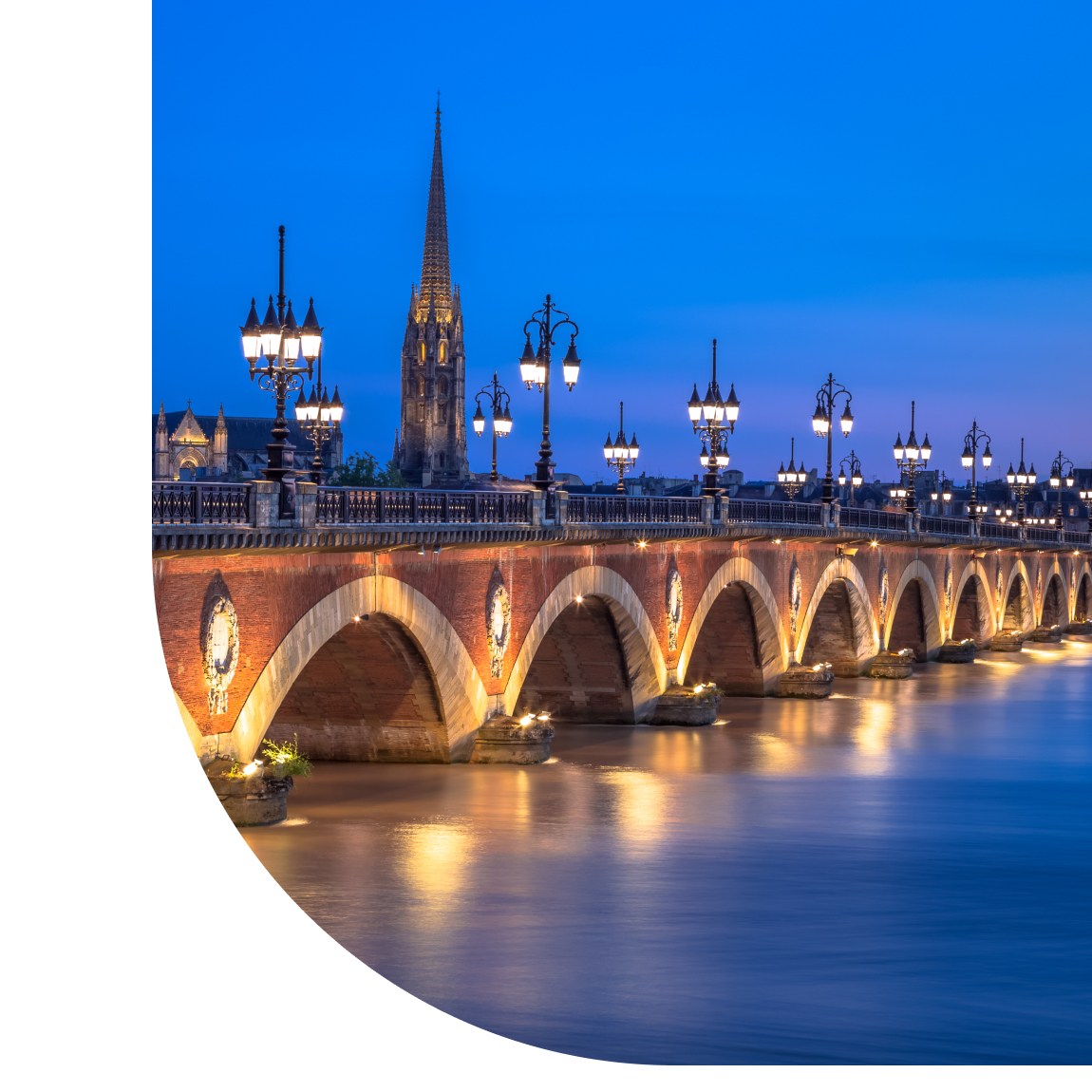 Offres et services pour les professionnels