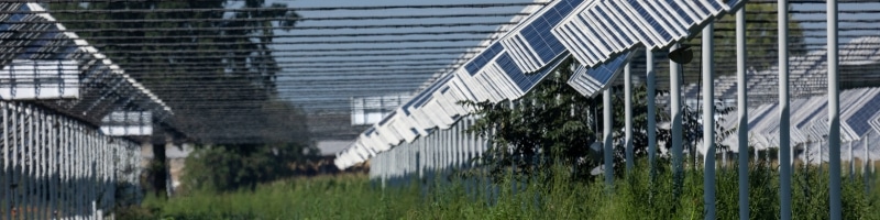 Agriculture + panneaux solaires