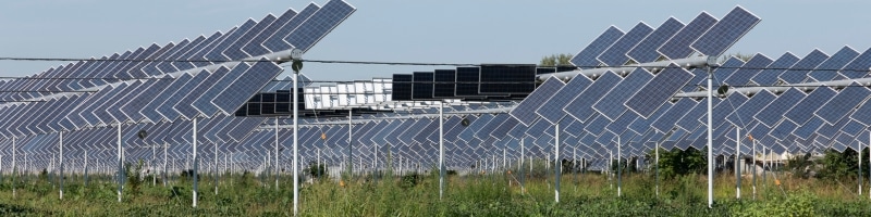 Pourquoi l’agrivoltaïsme intéresse autant le monde agricole